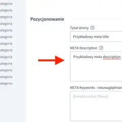 Edycja kategorii w panelu WordPress. Ustawianie meta description dla lepszej widoczności.