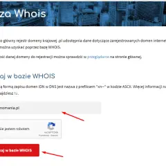 Baza WHOIS pozwala sprawdzić, kto jest właścicielem domeny. Wpisz nazwę domeny, np. domenomania.pl, i kliknij "Szukaj".