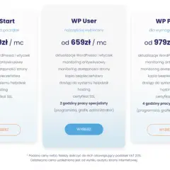 Trzy plany obsługi stron internetowych: WP Start, WP User i WP Pro, z cenami i zakresem usług. Aktualizacja stron internetowych w pakiecie.