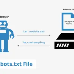 Robot pyta o pozwolenie na indeksowanie strony. Plik robots.txt odpowiada: "Tak, indeksuj wszystko".