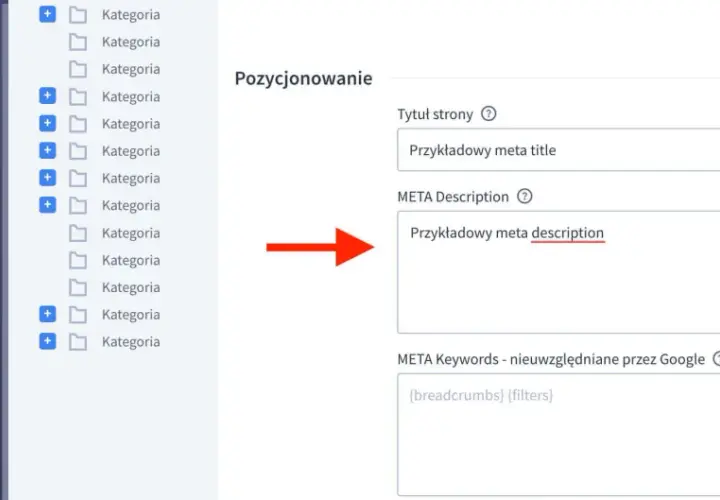 Edycja kategorii w panelu WordPress. Ustawianie meta description dla lepszej widoczności.