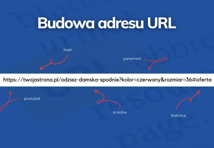 Budowa adresu URL: protokół, host, ścieżka, parametr, kotwica. To jak adres strony, co to url.