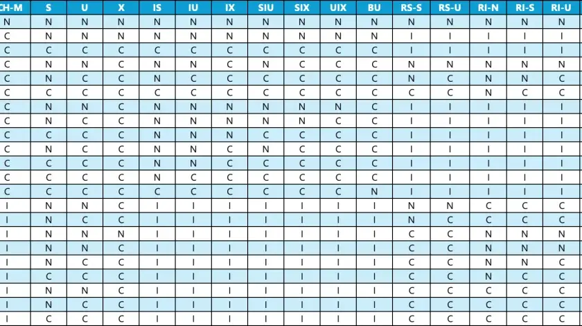 Tabela z danymi, gdzie wiersze i kolumny to kody, a komórki zawierają 'N', 'C' lub 'I'. Możliwe zastosowanie w partition by SQL.