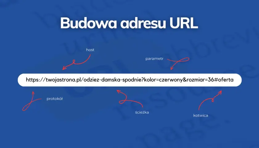 Budowa adresu URL: protokół, host, ścieżka, parametr, kotwica. To jak adres strony, co to url.