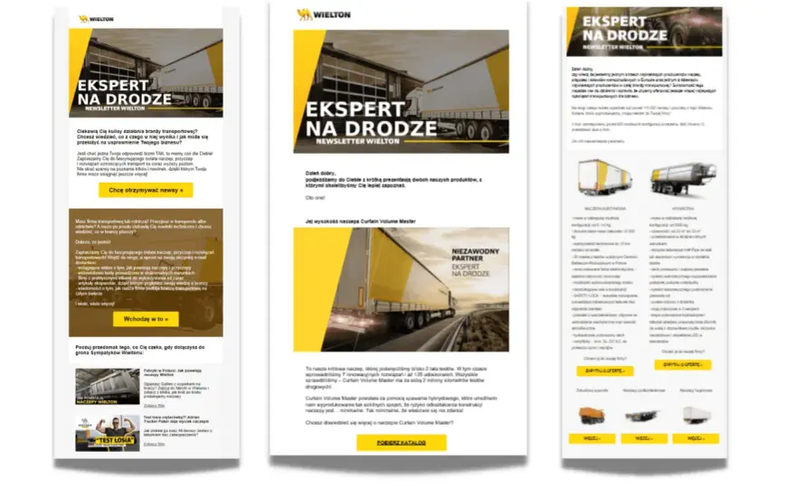 Skuteczny newsletter - Najlepsze formaty i przykłady dla B2B i SaaS