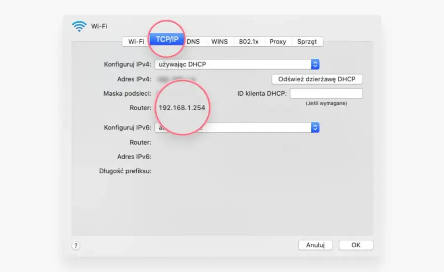 Adres IP - Co to jest, jak sprawdzić i czy jest widoczny?