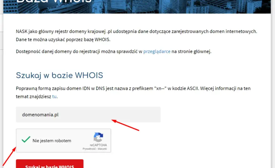 Jak sprawdzić właściciela domeny - WHOIS, RODO i porady