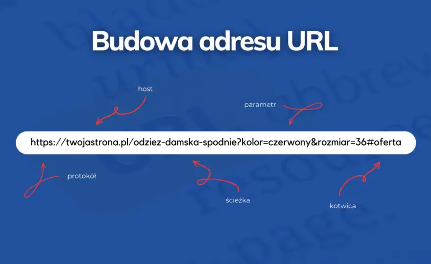 Co to URL? Zrozum adres internetowy i jego znaczenie dla Ciebie