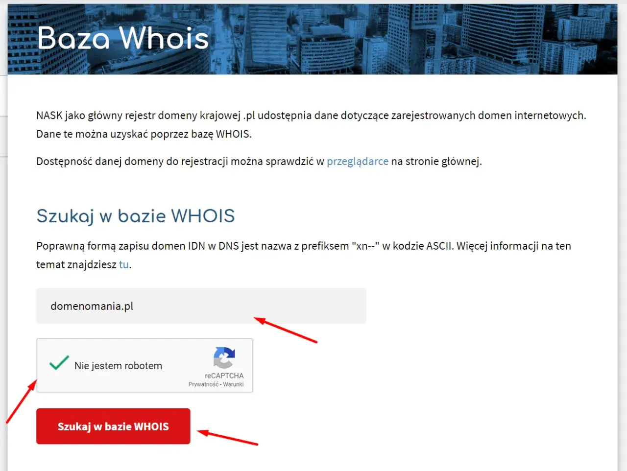 Formularz do sprawdzenie domeny w bazie NASK. Wpisz nazwę domeny, np. domenomania.pl, zaznacz 